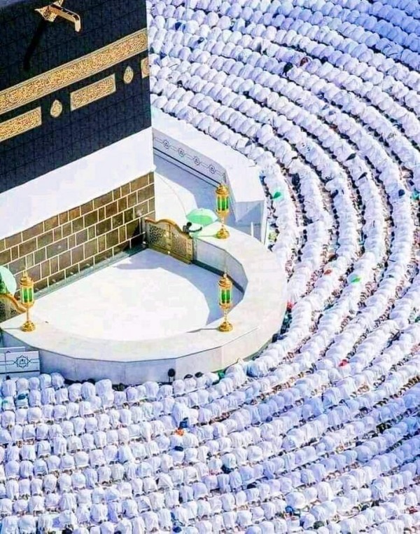 59.PROGRAM 25 EYLÜL 7 GECE 8 GÜNLÜK YÜRÜME MESAFELİ OTELLERDE